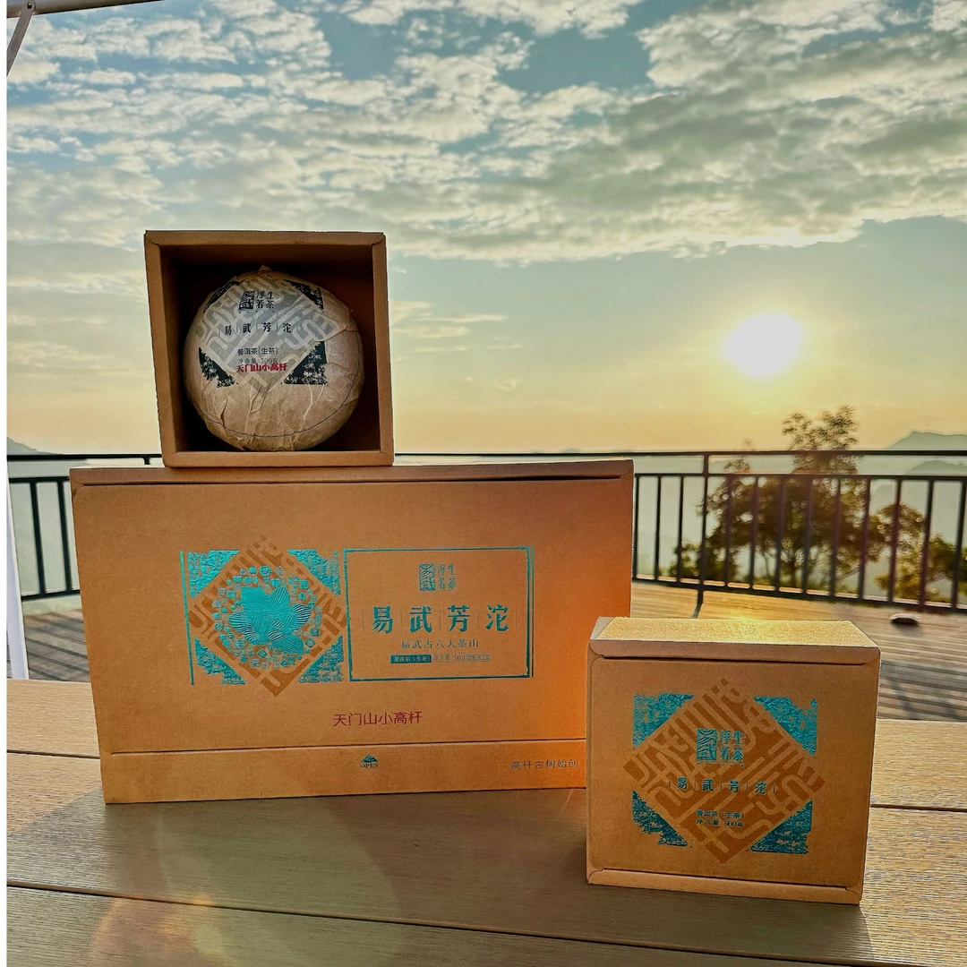 2024年易武天门山小高杆芳沱生茶500g 高档福利中秋佳节送礼首选
