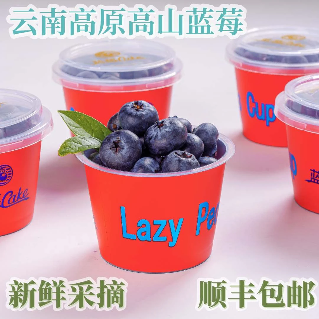 云南高原高山蓝莓 新鲜采摘 头茬果 蓝莓Red cup 500g 顺丰包邮
