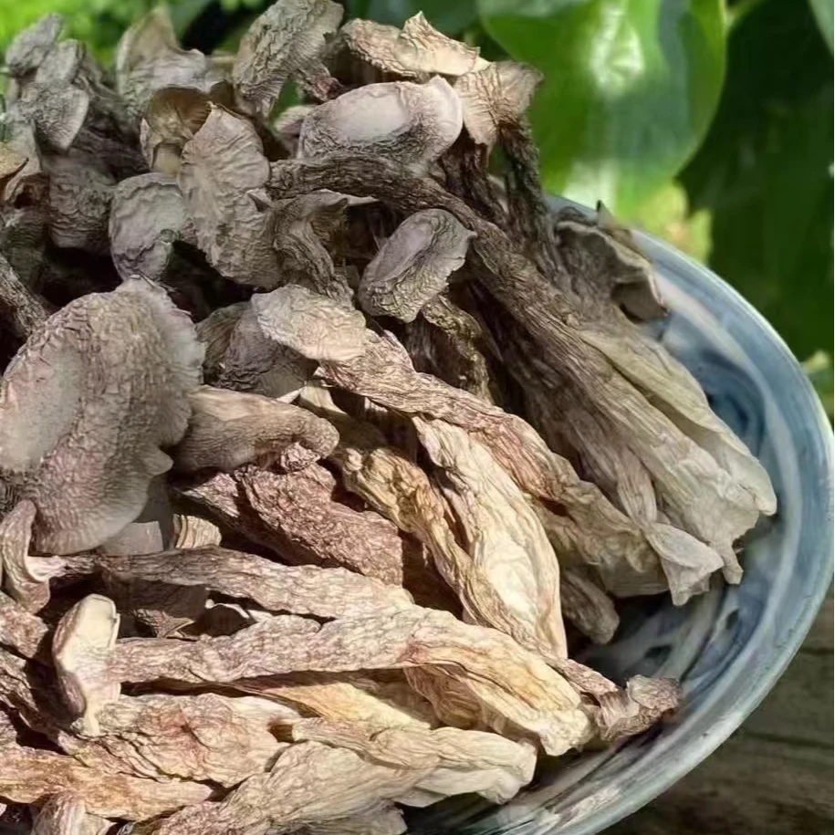 甄选山货 鹿茸菇