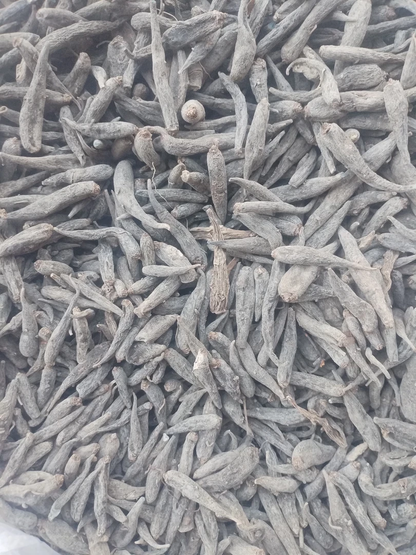 土特产≈[≈双≈]非香菇