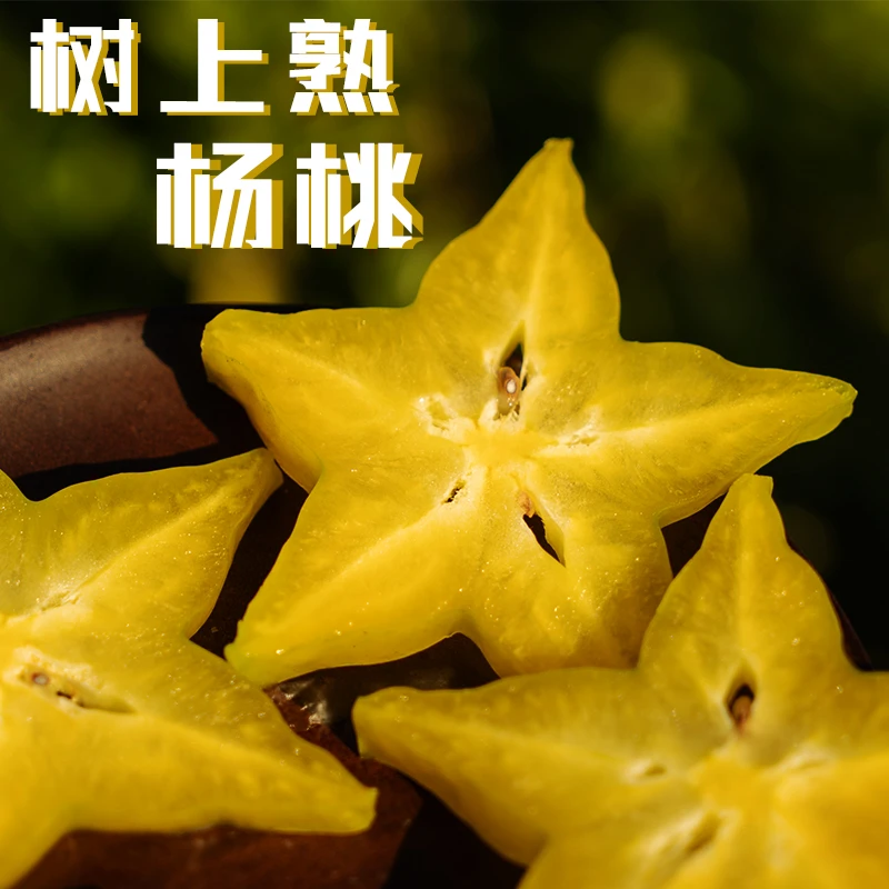 【顺丰包邮】福建树上熟杨桃当季新鲜水果孕妇水果3/4.5斤送酸梅粉