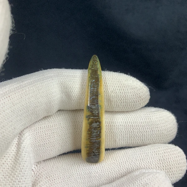 B6440天然猛犸牙精品牙尖 支持鉴定 假一罚四