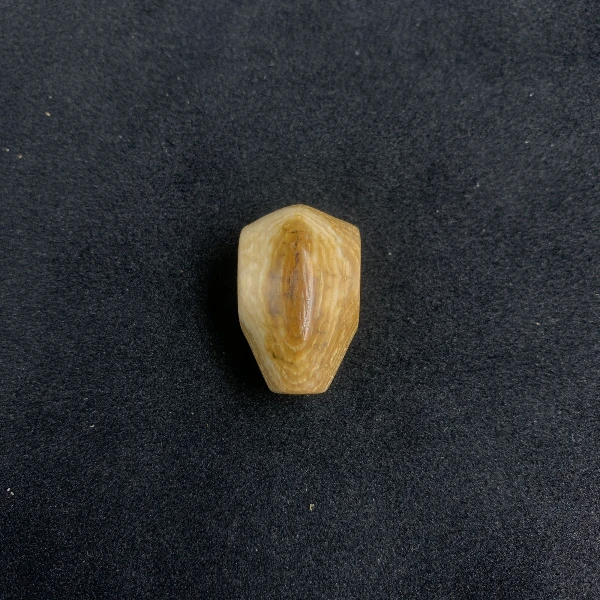 H5055天然猛犸牙（微瑕）精品三通 支持鉴定 假一罚四