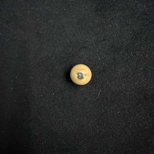 P7637天然猛犸牙单珠配饰 支持鉴定 假一罚四