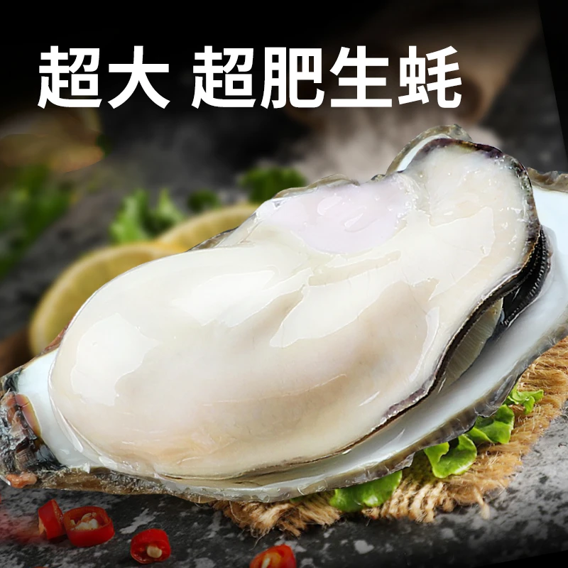 【北海湾】生蚝鲜活牡蛎5斤装净重4斤（4-6个/斤）海蛎子整箱