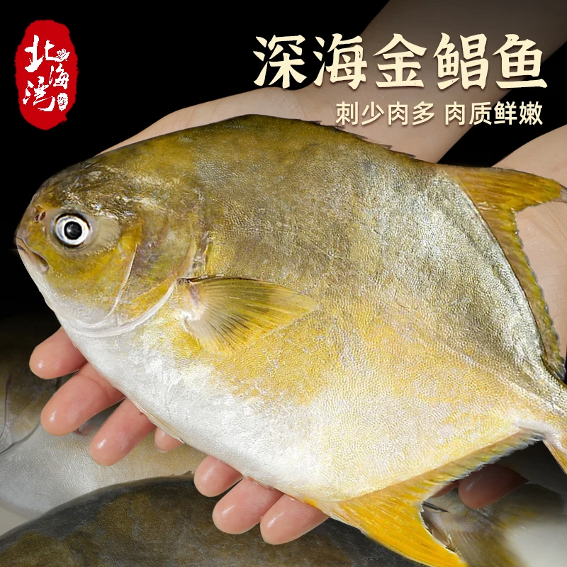 北海湾金鲳鱼鲜活速冻新鲜冷冻海鱼4条