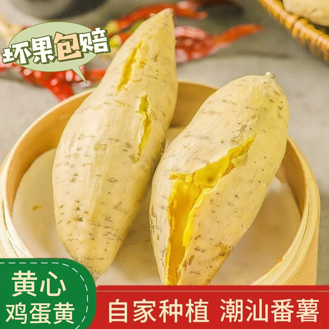 十里馋正宗农家种植现挖应季白皮鸡蛋黄板栗红薯香甜美味地瓜新鲜