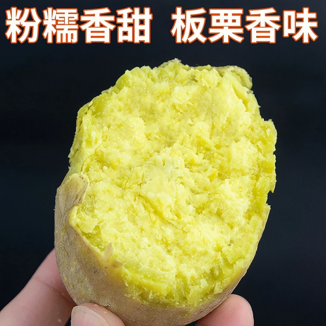 蟹阿嬷潮汕正宗白皮黄心板栗红薯新鲜现挖现卖农家种植