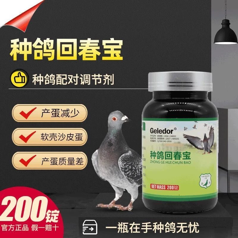 格莱德种鸽回春宝200片加速种鸽繁殖促进下单不软蛋鸽子调理