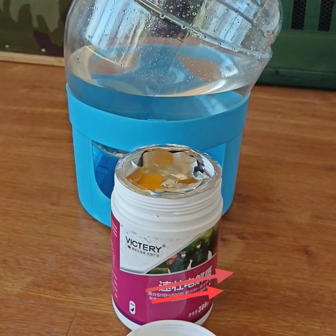 德国汉诺威电邂貭赛鸽鸽子零食用品