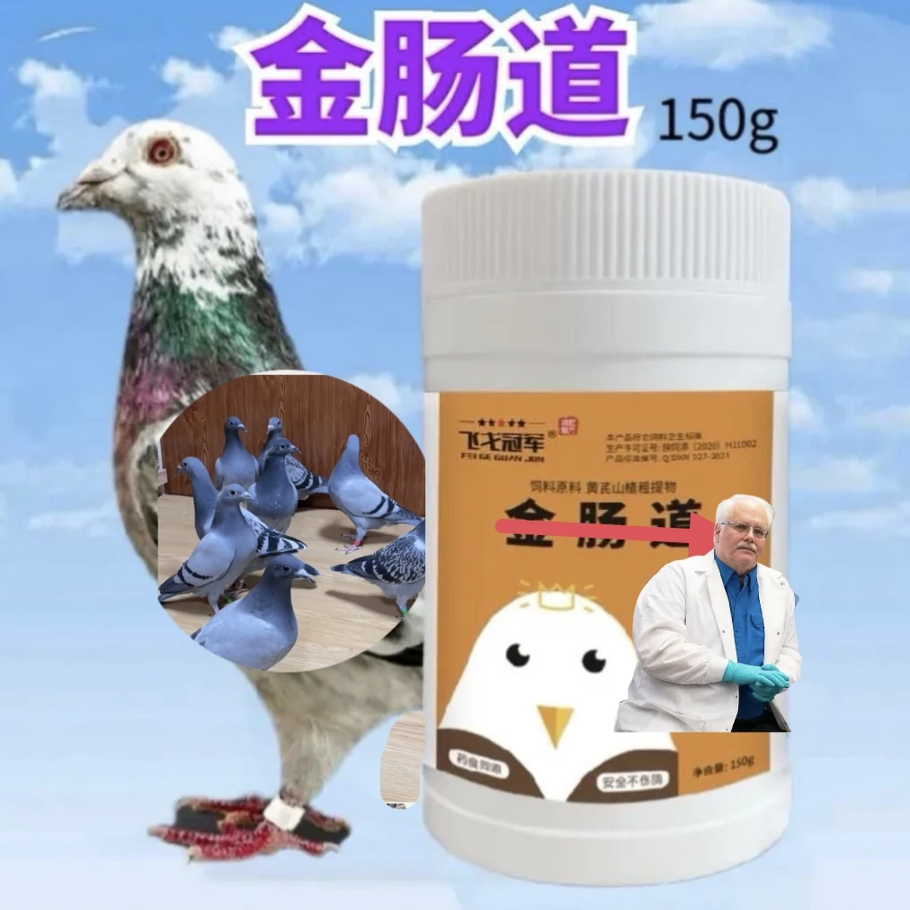 飞戈冠军金常道赛鸽鸽子零食