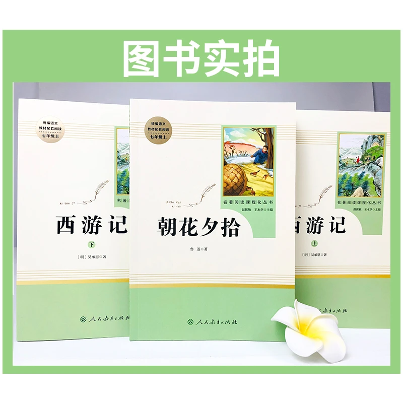 初中必读名著七八九年级西游记朝花夕拾祥子人教社昆虫记简爱著名