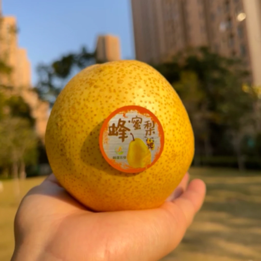 阔疆农业蜂蜜梨精选大果礼盒超甜多汁当季水果冰糖梨整箱6斤