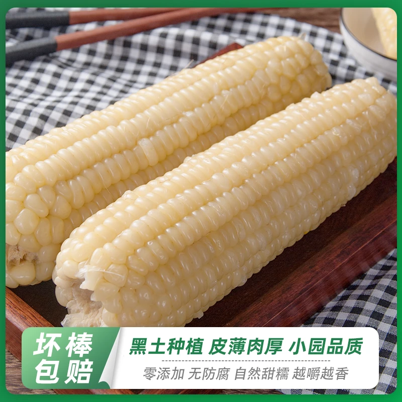 新鲜软糯粘白糯玉米250g 买8送2共10棒非转基因 真空装