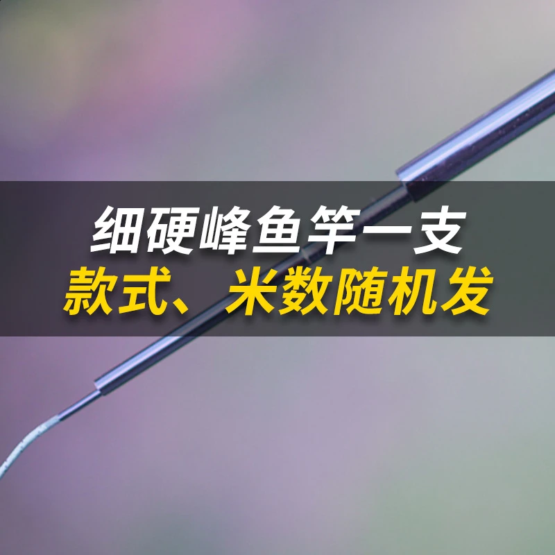 【福袋】鱼竿一支,款式米数随机发货,不支持退换