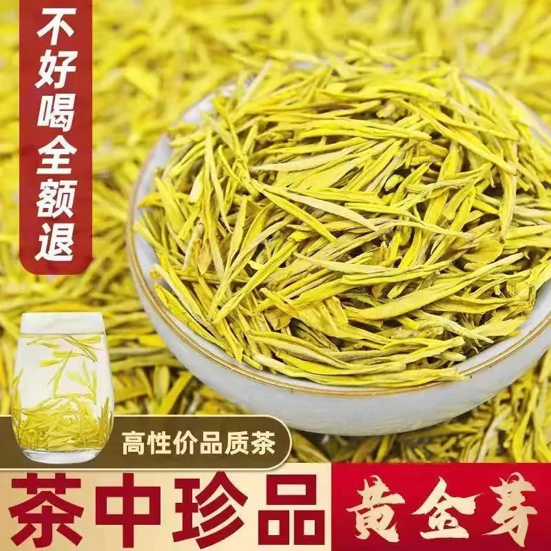 【新茶黄金芽】明前春茶黄金芽 豆香 浓香耐泡 鲜爽回甘 春茶