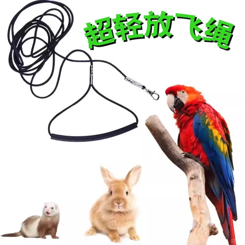 绳训练放飞虎皮牡丹绳绳脚鹦鹉八哥遛鸟超轻玄凤脚链飞行脚环不伤