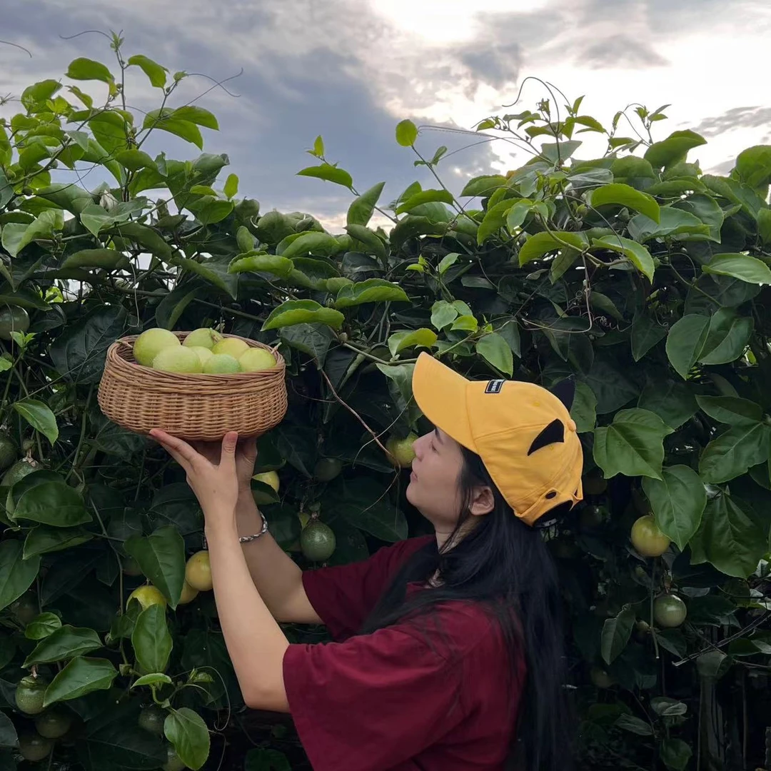 【爆甜】 徐闻钦蜜9号 8分甜 产地直发3斤5斤