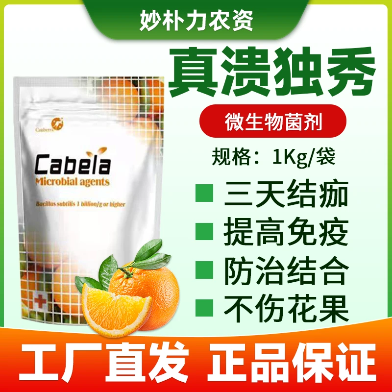 真溃独秀柑橘溃疡病微生物菌剂脐橙果树溃疡桃树流胶农用杀菌剂
