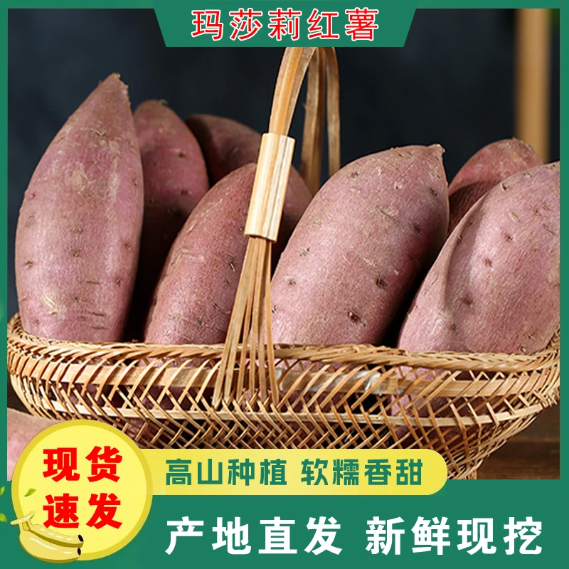 雨然康平地瓜净重五斤 玛莎莉红薯绿色食品认证假一赔十 断果不赔