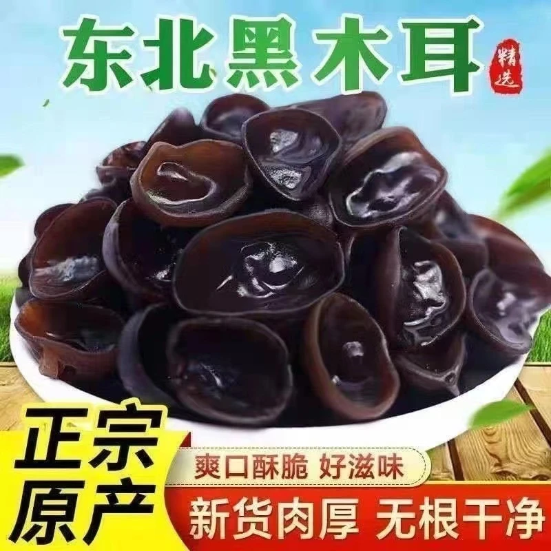 (现货速发)一斤24.9,正宗秋木耳。黑木耳目肉厚无根