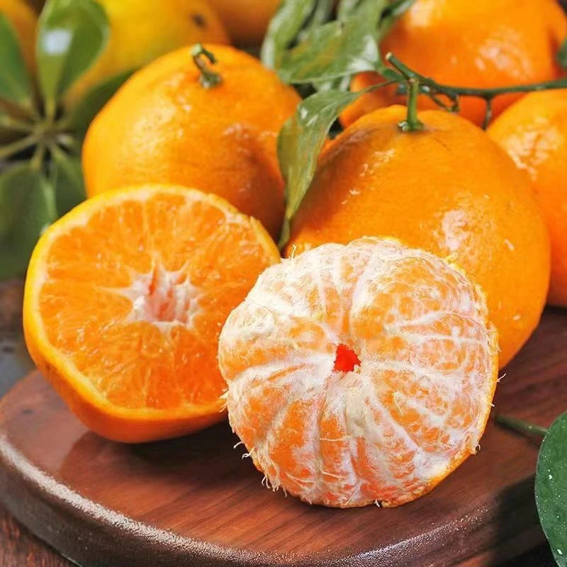【顺丰同城小时达】四川不知火丑橘5斤装