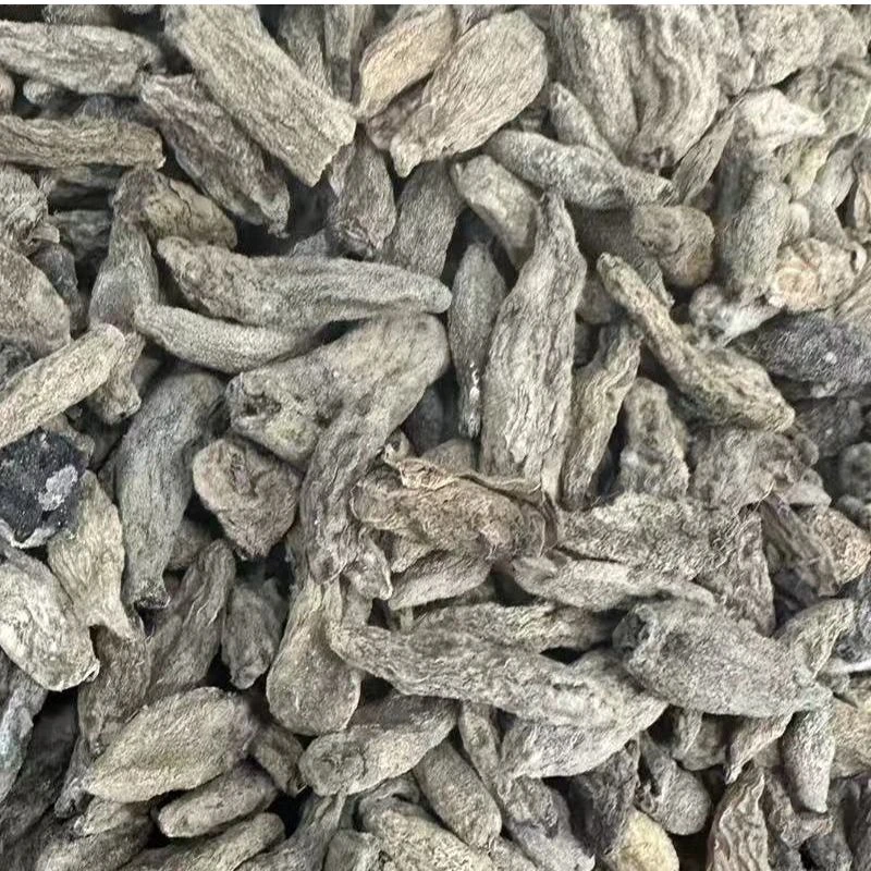 双生太阳参 【袁瑞泽推荐】