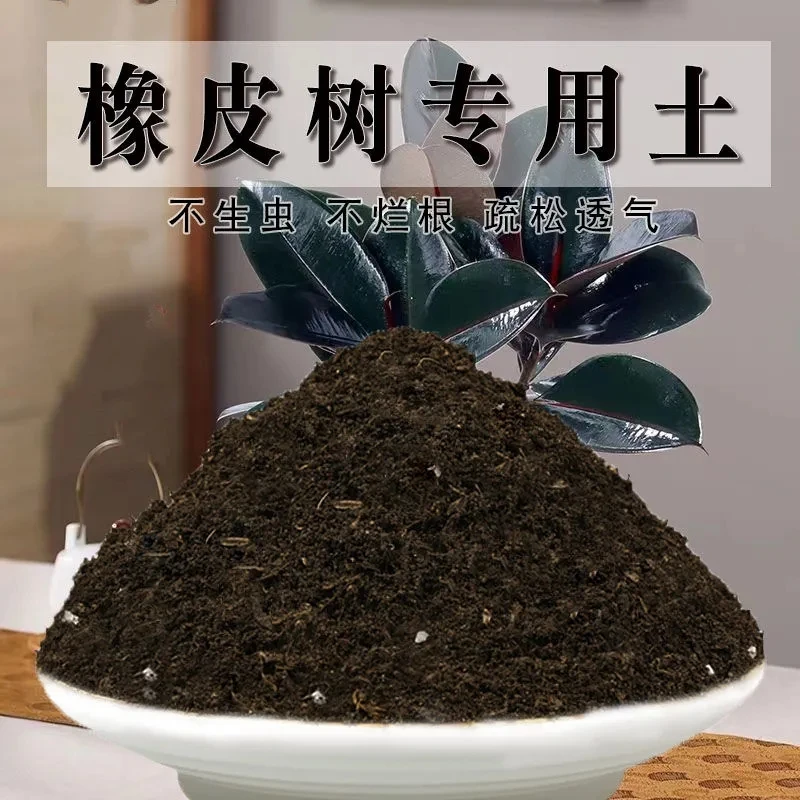 橡皮树专用土盆栽橡皮树土养花园艺家用营养土壤种植土有机肥料