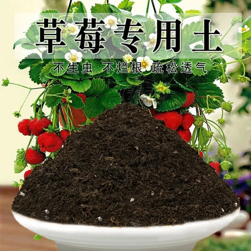 草莓专用土盆栽酸性土草莓家用草莓营养土壤种植土有机肥料通用土