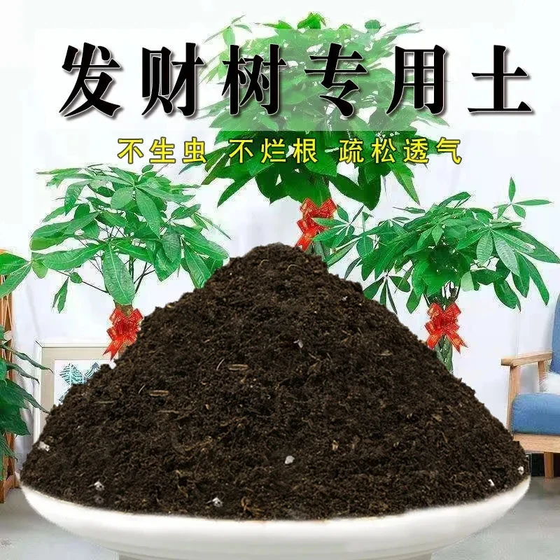 发财树专用土营养土发财树土有机肥料盆栽土透气绿植黑土种植土壤