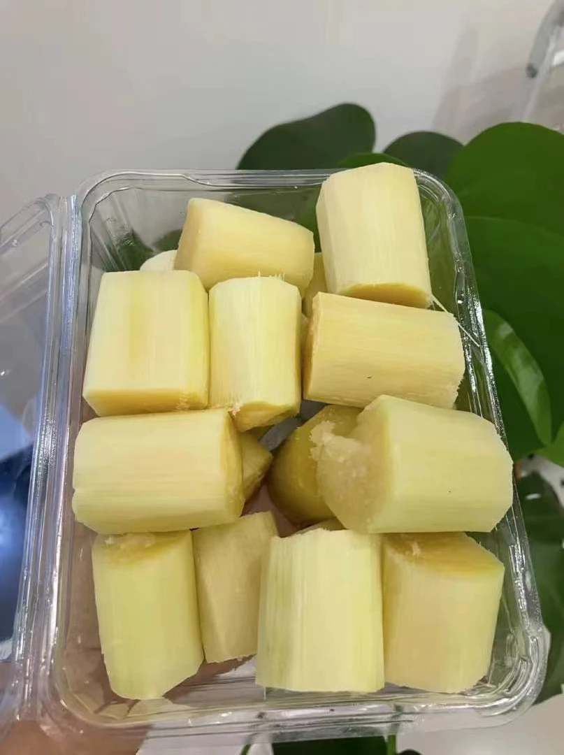 广西脆甜甘蔗一根