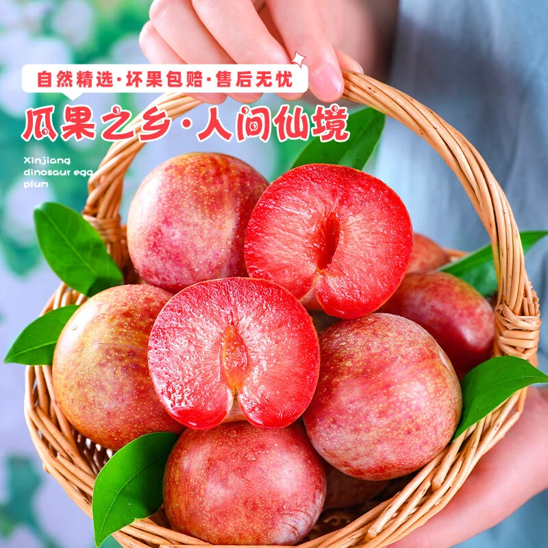 新疆恐龙蛋玫瑰李子3斤新鲜应季水果脱骨大果味帝脆红李顺丰发货