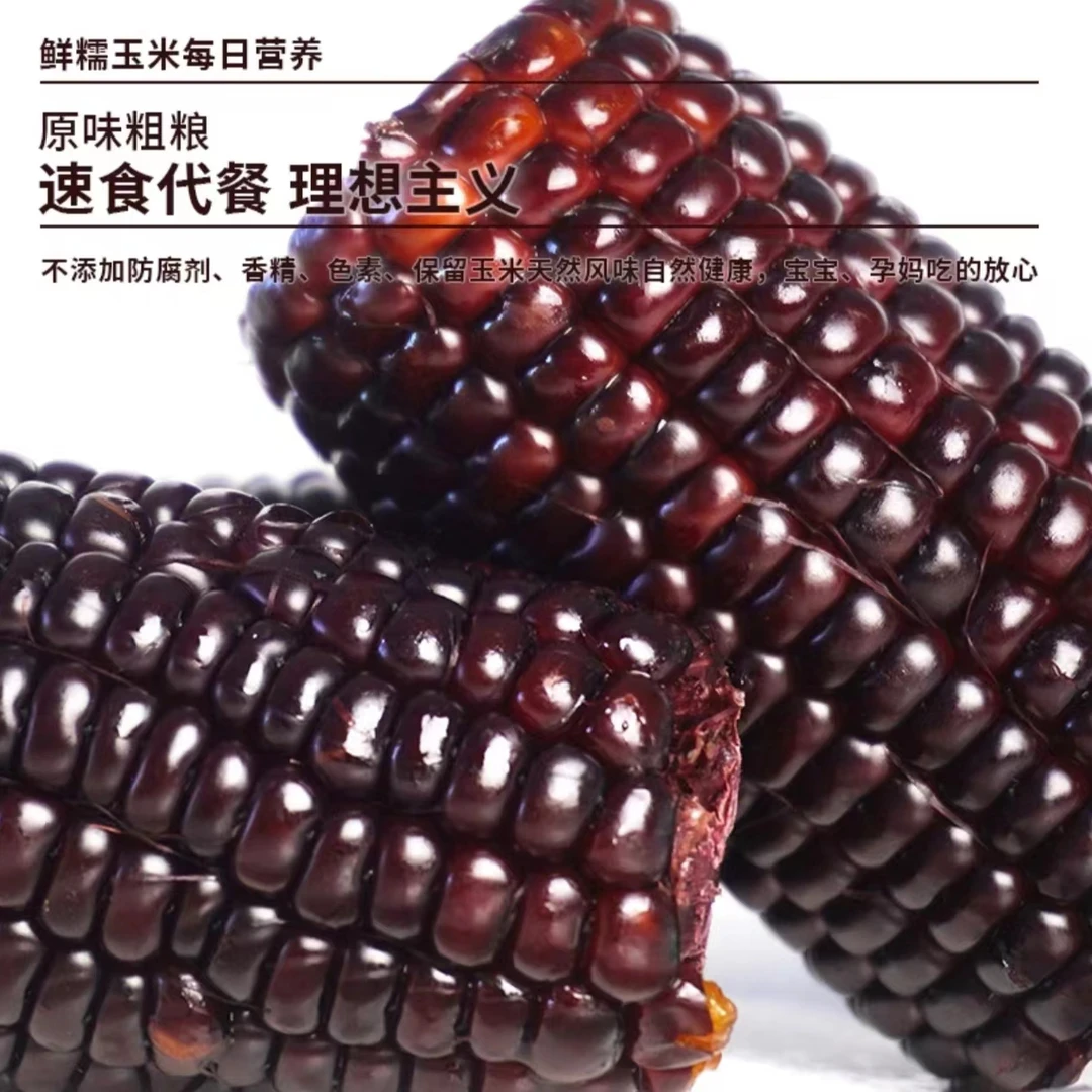 内蒙古有机黑糯玉米 满满花青素 非转基因宝宝代餐甜糯礼盒装10根
