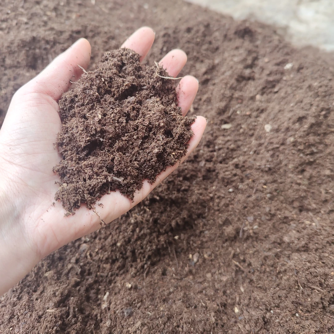 云南深山腐叶土经过层层筛网养护花卉绿植的好帮手天然种植有机肥