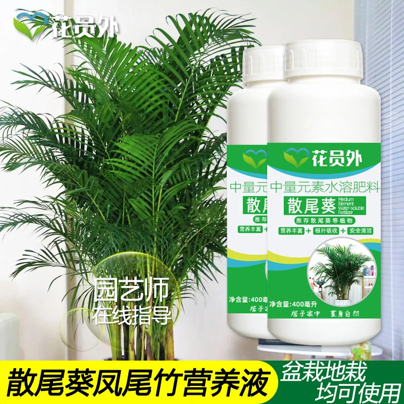 花员外散尾葵专用营养液凤尾竹肥料防黄叶干尖大型花卉盆栽叶面肥