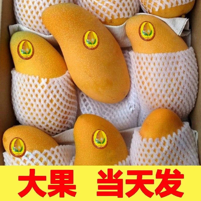 【果王产地直发】海南金黄芒果4.5-5斤包邮新鲜现摘当季热带整箱