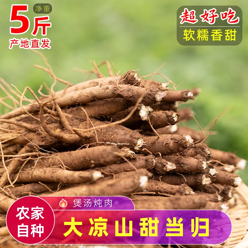 【顺丰包邮】新鲜现挖5斤甜当归菜当归炖鸡汤炖肉独角当归芹归