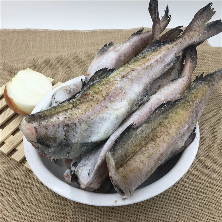 （专）冷冻新鲜鳕鱼去头去内脏4.8-5.5斤