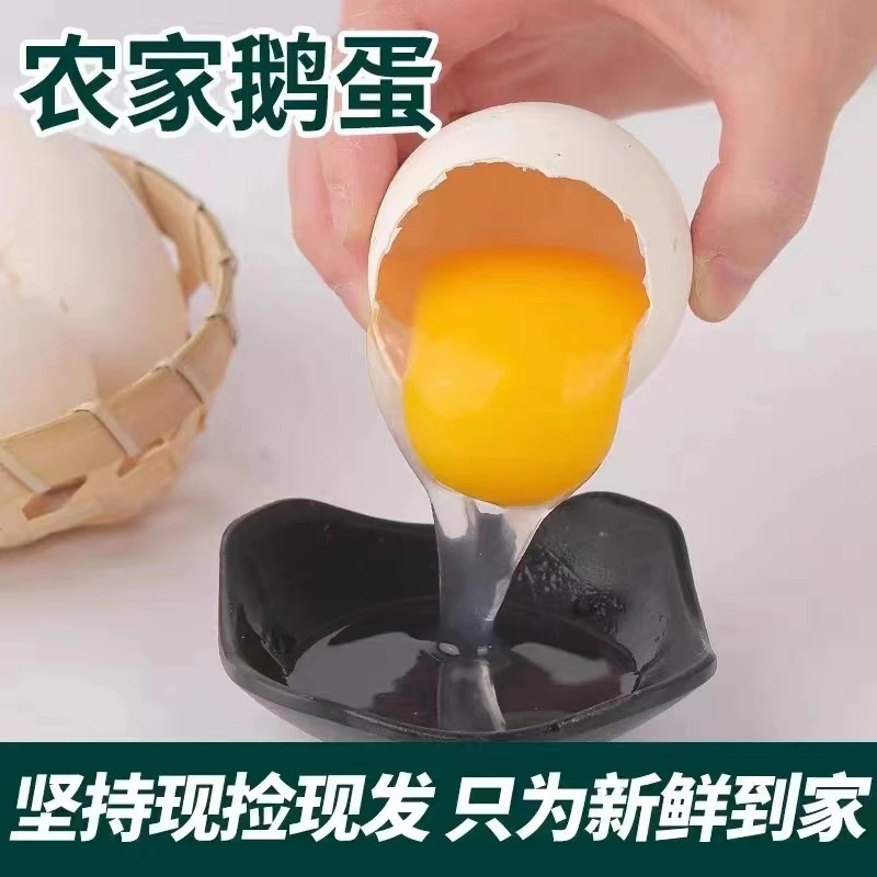新鲜大鹅蛋农家散养整箱新鲜散养农家非双黄好吃土鹅蛋鹅蛋