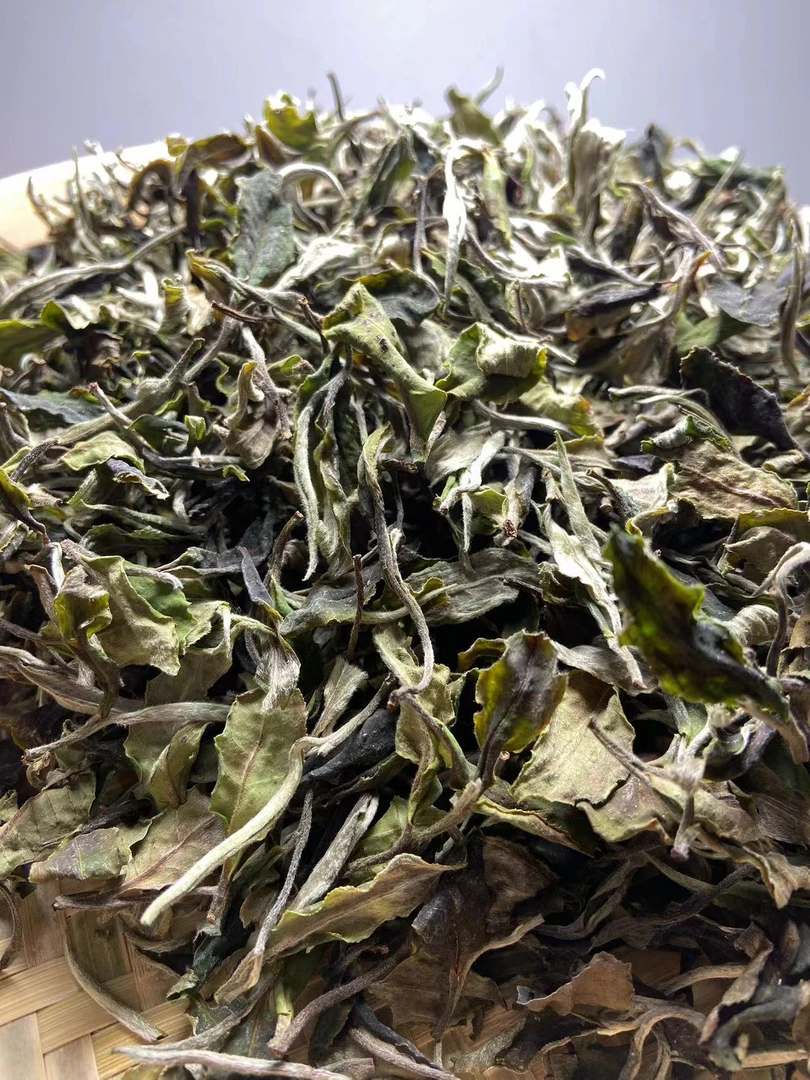 云南特产茶叶古树白茶