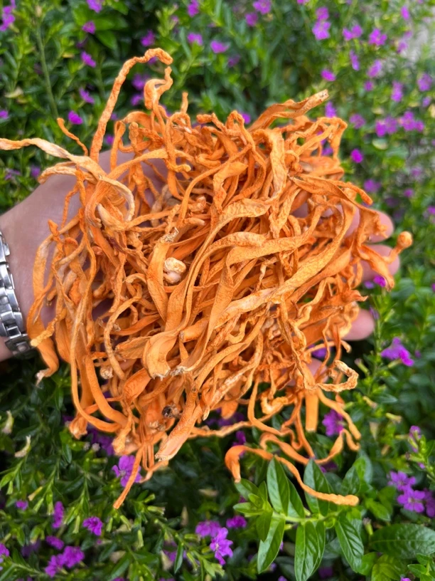 虫草花干货菌菇干货100克 250克 500克蒸鸡 蒸排骨 煲鸡汤炖汤
