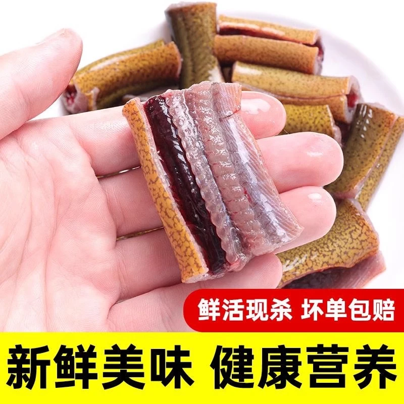 【黄鳝段】顺丰冷链速发鲜活现杀去头去尾鳝鱼片黄鳝肉丝
