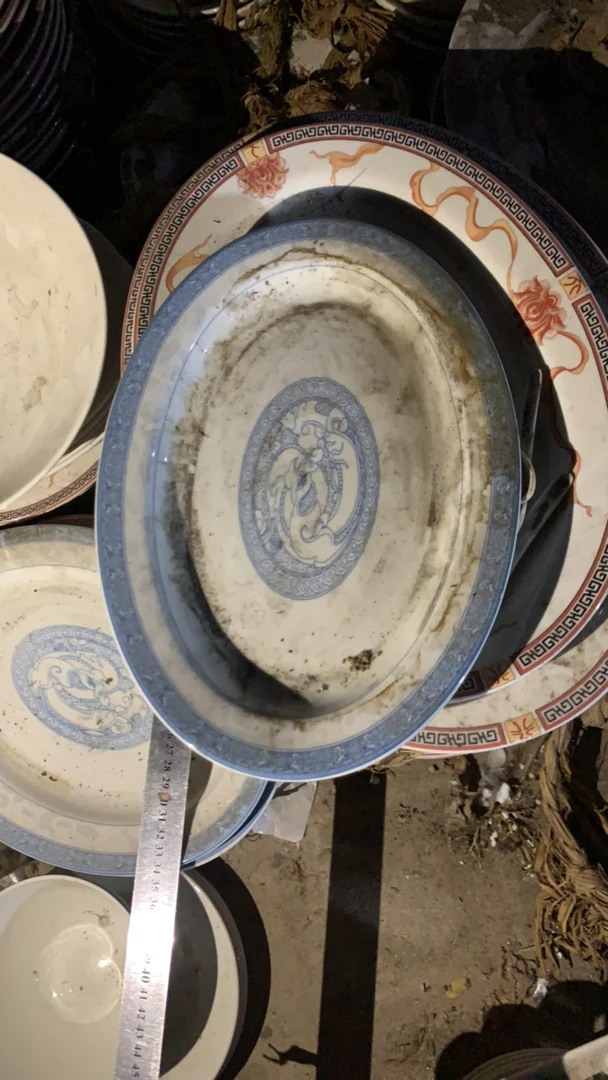 青花龙纹釉中彩鱼盘2个（直径27）