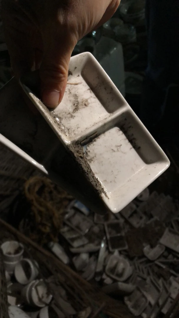 强化瓷素胎味碟 盘子2个 长12宽7