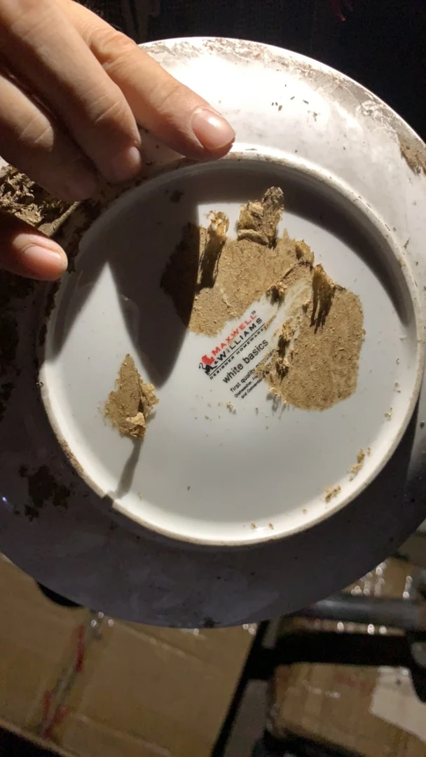 麦斯威尔素胎白色盘子/茶盘（直径20.5cm ）