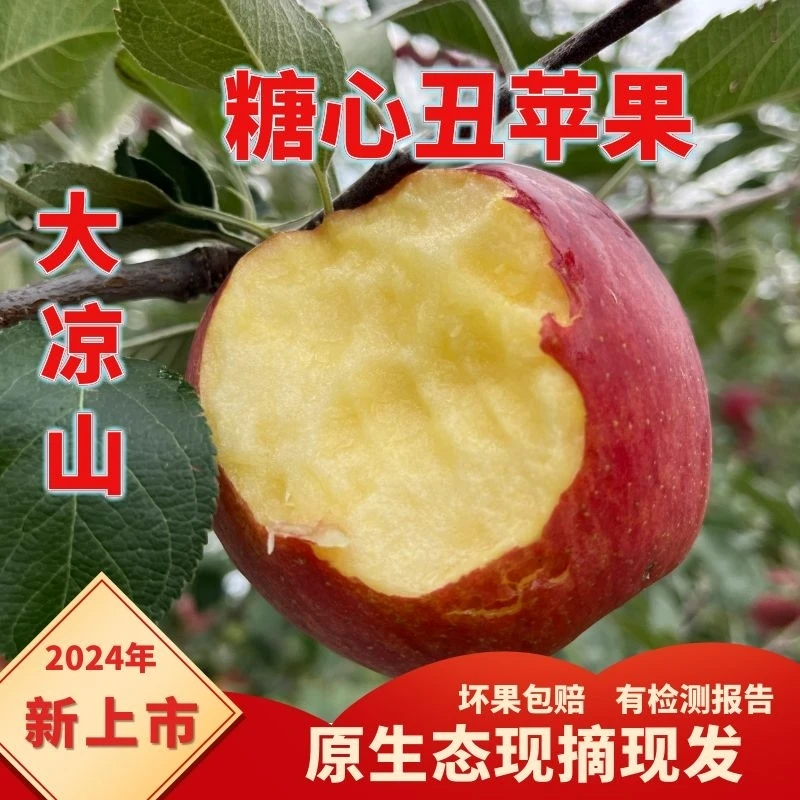 【破冰2025产地直发】2024四川大凉山盐源冰糖心丑苹果5/8斤
