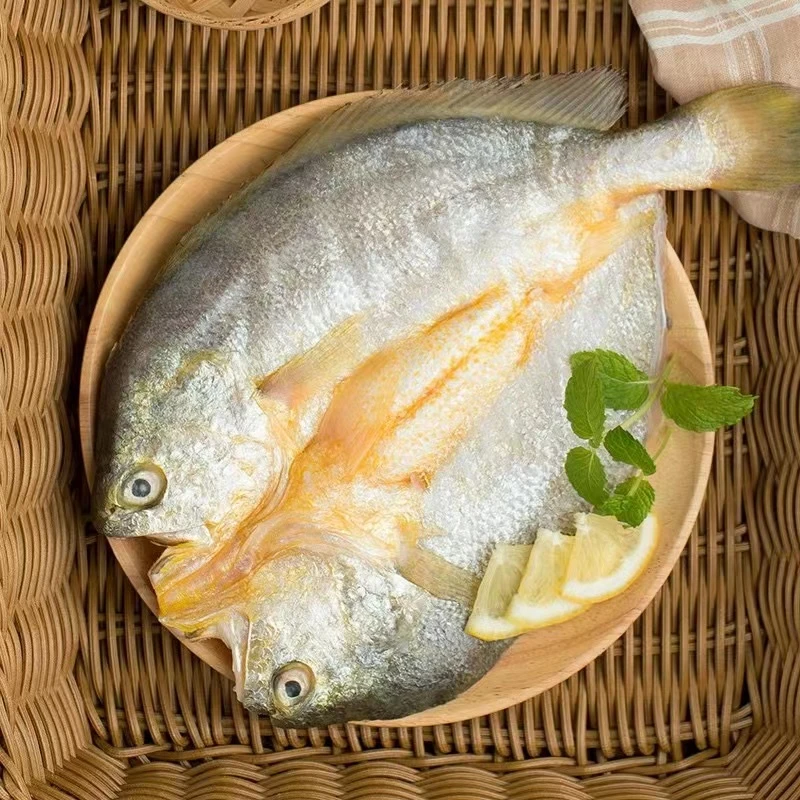 【粉丝专属】精选海捕大黄花鱼每条7-9两，到手5条，新鲜速冻鲜美
