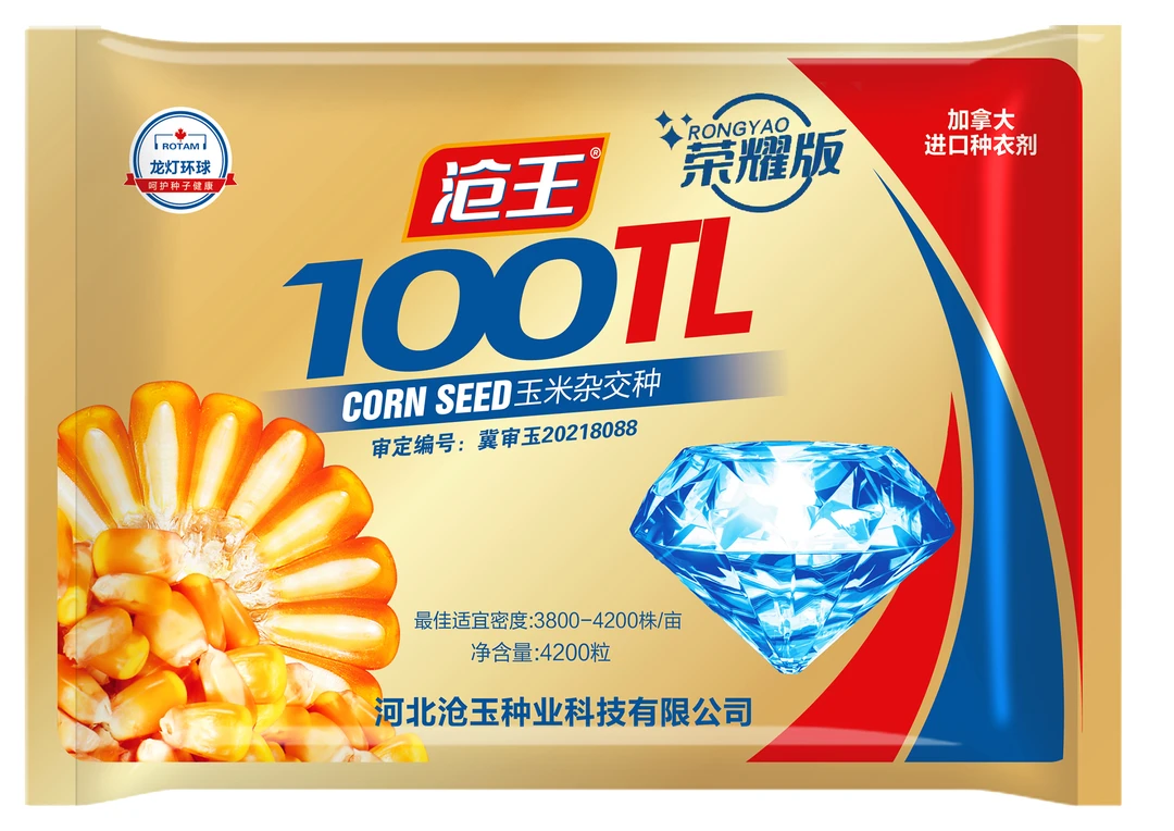 《沧王100TL》白轴大穗玉米种子，个头大超高产