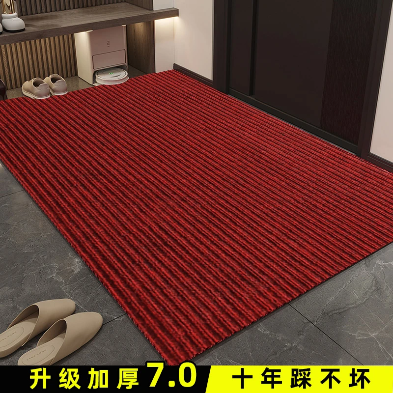 入户门地垫进门大门口脚垫2024新款玄关防滑门垫进户垫子家用地毯