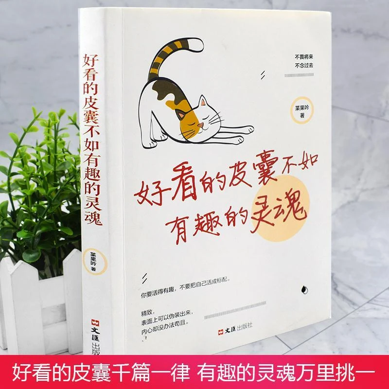 全套2册好看的皮囊不如有趣的灵魂拖延理由千篇一律自律信念万里
